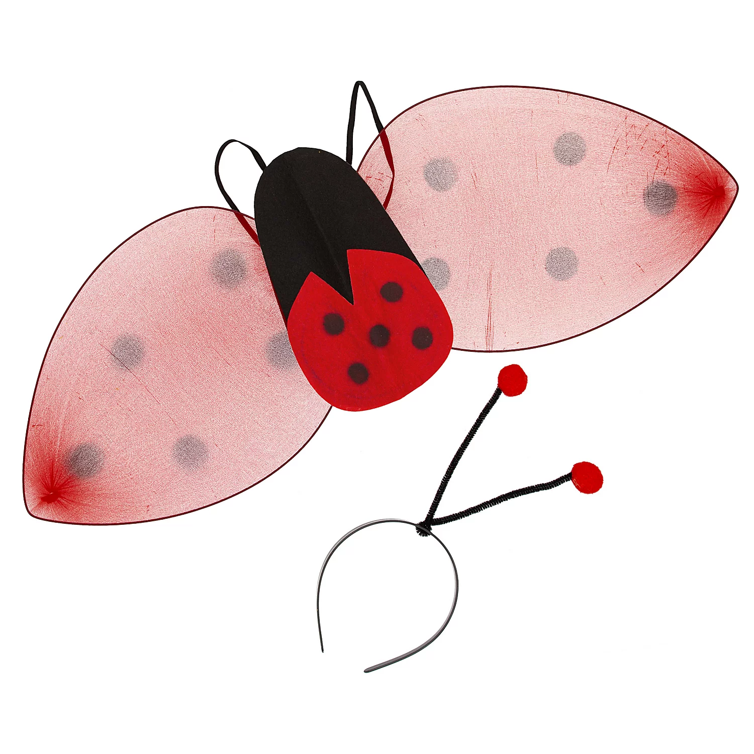 Kinder-Set Marienkäfer Image