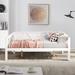 Gracie Oaks Rosh Daybed Wood in White | 35.02 H x 42.32 W x 79.51 D in | Wayfair A4190050D8B14950B0FBEE0D9339D410