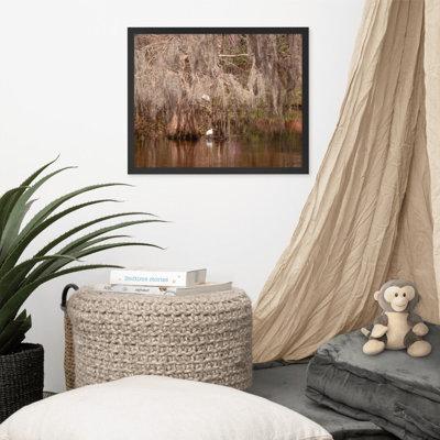 Millwood Pines Ibis in the Cypress Trees Backwoods - Picture Frame Photograph Paper in Brown/White | 17.5 H x 21.5 W x 1 D in | Wayfair