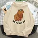 Capybara-Sweats à capuche Anime pour hommes Pulls esthétiques Hiver Y2K