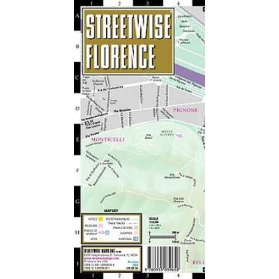 Streetwise Florence Map - Laminated City Street Ma...