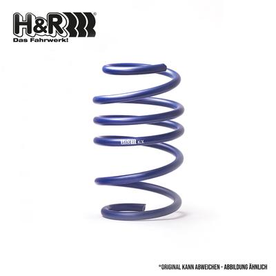 H&R Fahrwerksfeder Universal 29462-CS VA3 Image