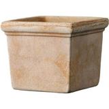 Marshall Pottery 4.3 in. Deroma Clay Siena Cachepot Terracotta