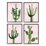 Stupell Industries Bold Pink Desert Cactus Plants Arid Vegetation by Mia Jensen - 4 Piece Floater Frame Graphic Art Set on Canvas Canvas | Wayfair