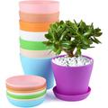 TRIANU Plastic Planters 8 Pack 4.7 inch Flower Pots Stylish Plant Pots for Indoor Plants with Drainage Holes and Tray for Plants Flowers Random Color