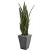 Nearly Natural 57 Sansevieria Artificial Plant in Slate Planter