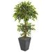 Nearly Natural Variegated Ficus 5-foot Artificial Tree in Slate Planter