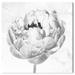 Oliver Gal White Gray Peony II - Graphic Art Canvas in Black/White | 20 H x 20 W x 1.5 D in | Wayfair 47084_20x20_CANV_XHD