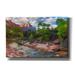 Epic Graffiti Banks of Zion - Zion National Park by Darren White Giclee Canvas Wall Art 40 x26