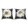 Stupell Industries Modern White Daisy Flower Close Up Petals Design by Sophie 6 Throw Pillow (set of 2)