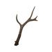 Millwood Pines Long Brown Decorative Deer Horn Branch Calligraphy Brush Figurine China in Brown/Gray | 2 H x 16 W x 5 D in | Wayfair