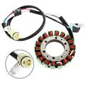 SCITOO Ignition Stator Magneto Replacement Electric Stator Fits 2000-2012 for Yamaha Big Bear 400 2000 for Yamaha Kodiak 400 2004-2013 for Yamaha Raptor 350 2002-2004 for Yamaha Warrior 350