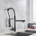 Augusts Chrome Kitchen Faucet Swivel Single Handle Sink Pull Down Sprayer Mixer Tap in Black | 15.6 H in | Wayfair 8-PHXTH2