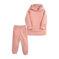 TAIAOJING Baby Toddler Girl Outfits Kids Girls Boys Autumn Winter Warm Thick Solid Cotton Long Sleeve Lined Tops Hooded Hoodie Pants Sweatshirt Set Clothes Fall Outfits 2-3 Years