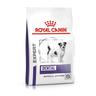 Royal Canin Expert Canine Dental Small Dog - 2 x 3,5 kg