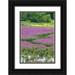 Terrill Steve 17x24 Black Ornate Wood Framed with Double Matting Museum Art Print Titled - OR Oaks Bottom Purple loosestrife in marsh