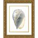 Vision Studio 19x24 Gold Ornate Wood Framed with Double Matting Museum Art Print Titled - Silver Foil Shell IV with Hand Color