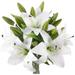 Zukuco Artificial Lily Flowers 5 Pack Tiger Lily Branch with 1 Full Blooms and 2 Bud Latex Real Touch Lilium Flower for Home DÃ©cor Centerpiece Wedding Bouquet White