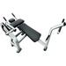 French Fitness FFS Silver Ab Crunch Bench (New)