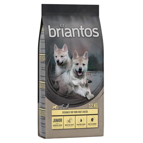 Briantos Sparpaket (2 x Großgebinde) - Briantos Junior Huhn GETREIDEFREI (2 x 12 kg)