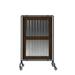 Forbes Industries 7843 Mobile Safety Shield Partition w/ Wood Barn Door Panel & Steel Frame, Brown