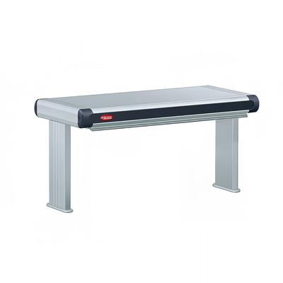 Hatco GR2A-18D3 120 21 1/2" Standard Watt Strip Warmer - Double Rod, Remote Control Required, 120v, Silver