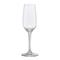 Anchor Hocking 1019F06 6 1/2 oz Florentine II Champagne Flute Glass, Clear