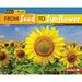 From Seed to Sunflower 9781512409147 Used / Pre-owned