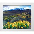 Talbot Frank Christopher 17x15 White Modern Wood Framed Museum Art Print Titled - California Sierra Nevada Flowers in the Sierras