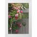 Paulson Don 23x32 White Modern Wood Framed Museum Art Print Titled - Garden gate with roses growing over it