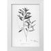 Carlson Tina 13x18 White Modern Wood Framed Museum Art Print Titled - Botanical Eclipse 2