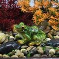 Frog Statue Mini Frog Resin Animal Sculpture indoor e outdoor Decor for Garden Patio Yard Micro Landscape Fairy Garden Ornaments