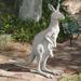 66 Exotic Home Garden Wildlife Statue Sculpture Figurine - Australian Kangaroo