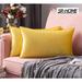 SR-HOME Pack Of 2 Decorative Throw Pillow Cover Soft Pillowcase Solid Square Cushion Case For Sofa Bedroom Car | 12 H x 20 W in | Wayfair