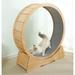 Tucker Murphy Pet™ 34.25" Dagnen Cat Wheel, Cat Treadmill, Sports Wheel Scratchers & Scratching Post in White | Wayfair