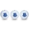 Everton Golf Ball Tube - Pack of 3