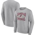 Men's Fanatics Branded Heathered Charcoal Arizona Cardinals Playability Pullover Sweatshirt