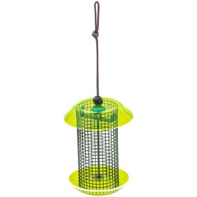 Birds Choice 6.5" Color Pop Collection Small Sunflower Seed Feeder Metal in Green/Indigo/Brown | 6.5 H x 5 W x 5 D in | Wayfair CPFF1-GL