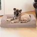 FurHaven Plush & Memory Top Sofa Dog Bed Memory Foam/Suede | 6 H x 30 W x 20 D in | Wayfair 65336089