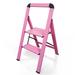 2 Step Aluminum Folding Step Stool - N/A