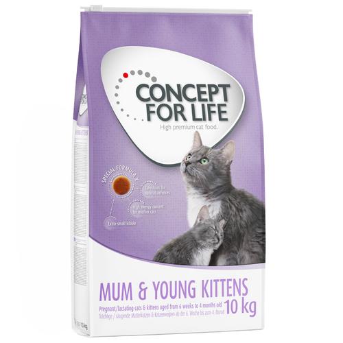 10kg Mum & Young Kittens Concept for Life Katzenfutter trocken