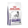 13kg Dental Expert Canine Royal Canin Alimento secco cani