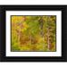 Gulin Sylvia 24x20 Black Ornate Wood Framed with Double Matting Museum Art Print Titled - USA-Idaho-Highway 36 west of Liberty and hillsides covered with Aspens in autumn