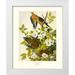 Audubon John James 26x32 White Modern Wood Framed Museum Art Print Titled - Carolina Pigeon or Turtle Dove (decorative border)