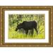 Illg Cathy and Gordon 14x11 Gold Ornate Wood Framed with Double Matting Museum Art Print Titled - Colorado Rocky Mts Moose shaking off water