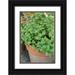 Horton Janet 11x14 Black Ornate Wood Framed with Double Matting Museum Art Print Titled - Bellevue-Washington State-USA Chocolate mint plants growing in a container garden