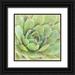 Marshall Laura 26x26 Black Ornate Wood Framed with Double Matting Museum Art Print Titled - Garden Succulents IV Color