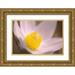 Jaynes Gallery 14x11 Gold Ornate Wood Framed with Double Matting Museum Art Print Titled - Canada-Manitoba-Mars Hill Wildlife Management Area Detail of prairie crocus flower