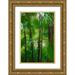 Miller Anna 11x14 Gold Ornate Wood Framed with Double Matting Museum Art Print Titled - Florida-Tropical Garden Palms