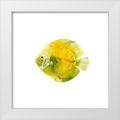 Scarvey Emma 12x12 White Modern Wood Framed Museum Art Print Titled - Discus Fish I